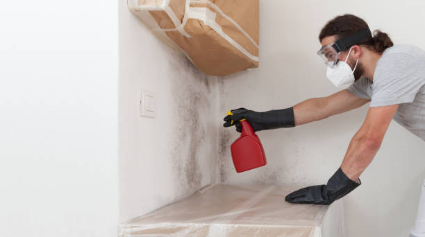 Professional Crawl Space Mold Removal technician working in Cedarville, MI
