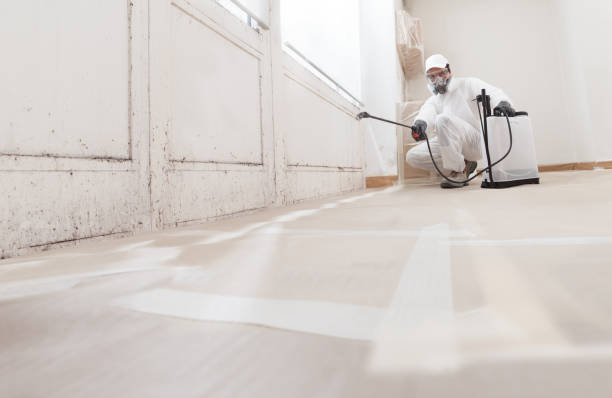 24/7 Emergency Crawl Space Mold Removal experts in Cedarville, MI